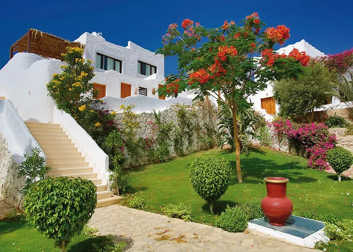 Resort Club