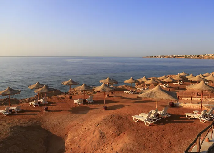 Resort Club 4*